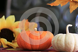 Pumpkins close up on a Thanksgiving table