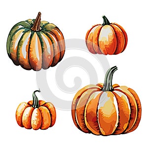 Pumpkins collection vector illustration.