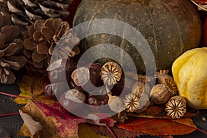 Pumpkins and conkers on autumn leaves