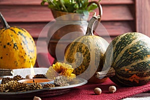 Pumpkins and copper jug