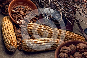 Pumpkins,corn,,nuts and cranberries on fabric