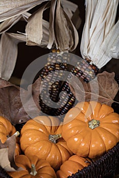 Pumpkins and Corn for Thanksgiving Decor