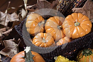 Pumpkins and Corn for Thanksgiving Decor