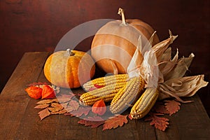 Pumpkins, corns and physalis photo