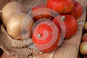 Pumpkins on the counter in the bazaar. Trade in seasonal goods at the street market.