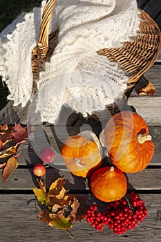 Pumpkins, crab apples, colorful maple leaves and rowanberry near wicker basket with knitted shawl.