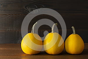 Pumpkins on dark wooden background. Autumn halloween harvesting thanksgiving concept with space for text. Pumpkin