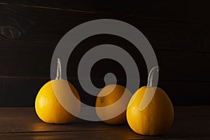 Pumpkins on dark wooden background. Autumn halloween harvesting thanksgiving concept with space for text. Pumpkin
