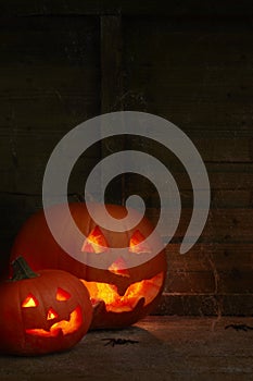 pumpkins on a dark wooden cobweb background