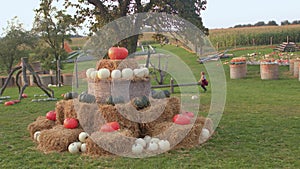 Pumpkins decorate bales of straw in the field. Children play in the countryside.
