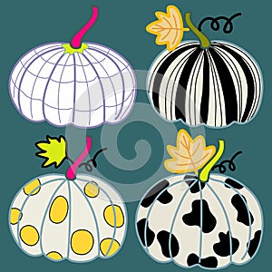 Pumpkins deign set with graphic pattern on four pumpkin drawing autumn and fall leaves hand drawn art vector