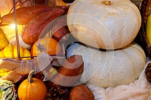 Pumpkins with different colours seasonal fruits and vegetables Thanksgiving day concept