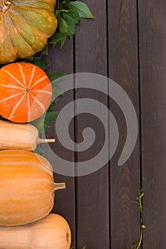 Pumpkins of different shapes and colors on a dark wooden table, green vine grapes, top view, copy space for text
