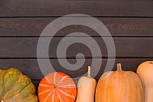 Pumpkins of different shapes and colors on a dark wooden table, green vine grapes, top view, copy space for text