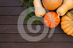Pumpkins of different shapes and colors on a dark wooden table, green vine grapes,  top view, copy space for text