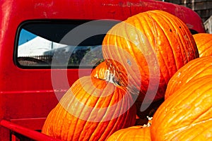 Pumpkins displayed in the back of a classic red pickup