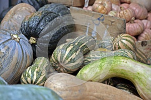 Pumpkins exposed in open-air market stall in Brazil