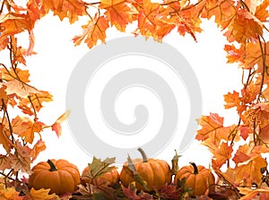 Pumpkins with fall leaves