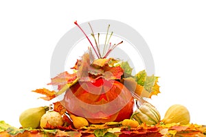 Pumpkins with fall leaves