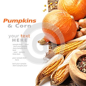 Pumpkins and fall vegetables