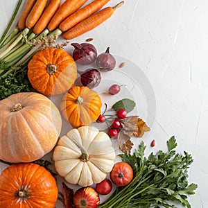 Pumpkins and Fall Vegetables Over White Background with Copyspace
