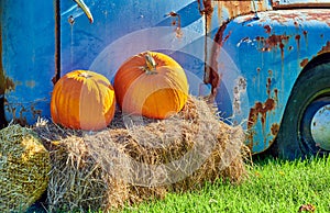 Pumpkins on a farm field near very old truck