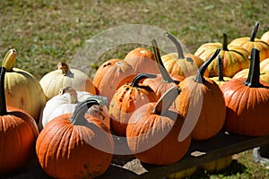 Pumpkins on a farm stand for sale along the roadside.