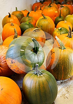 Pumpkins in a farmer's shop