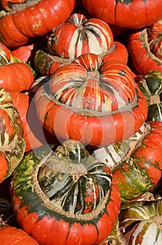 Pumpkins on a farmers market