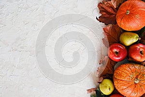 Pumpkins, fruits and autumn maple leaves on white background. Autumn harvest.