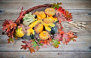 Pumpkins and Gourds