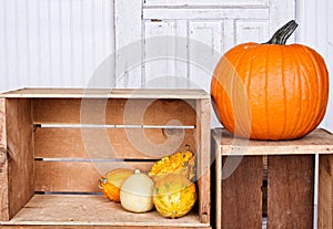 Pumpkins and gourds on a crate