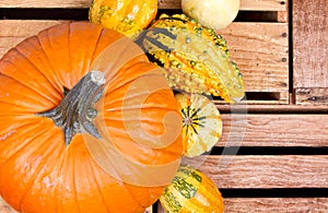 Pumpkins and gourds on a crate