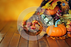 Pumpkins, gourds, and leaves in an Autumn cornucopia