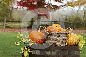 Pumpkins and gourds on old barrel