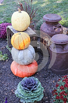 Pumpkins, gourds, ornamental cabbage, mums and milk cans in the public gardens in Lewes Delaware.