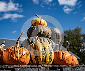 Pumpkins and Gourds on display at Local Farmer`s Market