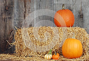 Pumpkins and gourds on straw