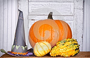 Pumpkins, gourds and a witches hat