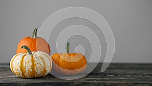 Pumpkins on gray background