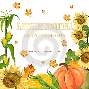 Pumpkins harvest Vector. autumn seasonal banner templates