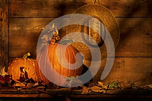 Pumpkins and Hat with Shadows of Tree Branches