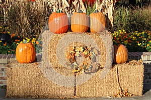 Pumpkins and hay bales