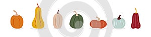 Pumpkins icon set. Different colors, sizes and measurements. Autumn inspiration. Horizontal banner. Vector illustration, flat