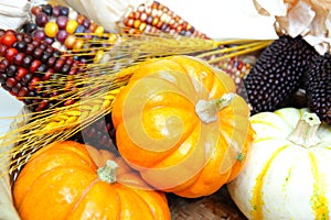 Pumpkins And Indian Corn