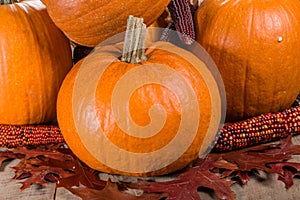 Pumpkins indian corn and fall leaves