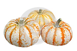 Pumpkins isolated on white background