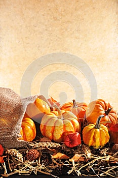Pumpkins jute bag