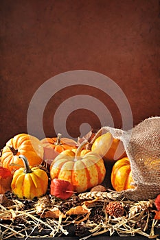 Pumpkins jute bag