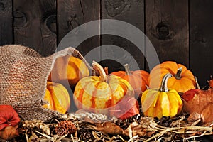 Pumpkins jute bag